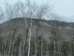 The mountain is seen behind bare branches and will still be there when leaves obscure the view.